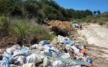 Koruma altındaki Halep çamı ormanını çöplüğü çeviren şirkete 1.6 milyon TL: ceza