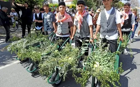 Ot, Enginar ve Çiçek festivalleri bölgeye renk getirecek