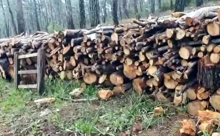 GÖKOVA BETONLAŞMAYA DEĞİL KORUNMAYA MUHTAÇ