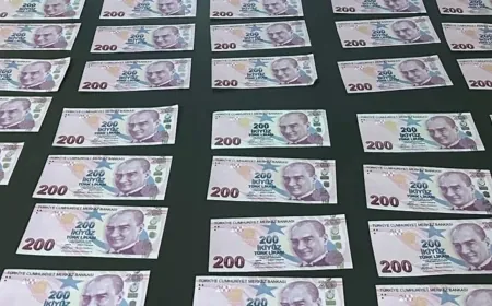 Bodrum’da sahte para operasyonu, 2 gözaltı