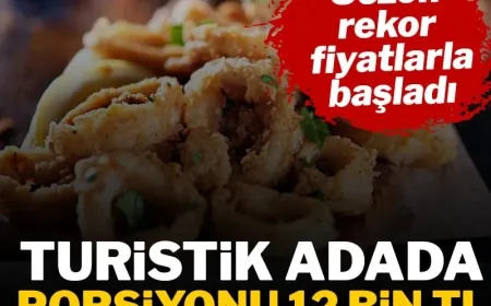 TURİSTİK ADADA BİR PORSİYON KALAMARIN FİYATI DUDAK UÇUKLATTI