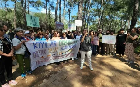 GÖKOVA ORMAN KAMPINDAKİ KATLİAMI ÖNLEMEK İÇİN DAVA AÇILDI