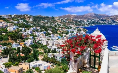 Sahte belgeyle turistik adaya giden Türk kadını tutuklandı