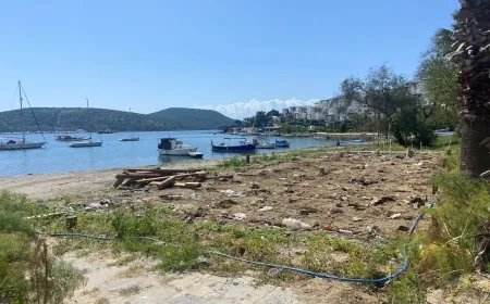 Bitez halk plajındaki ucube kaçak yapı kaldırıldı