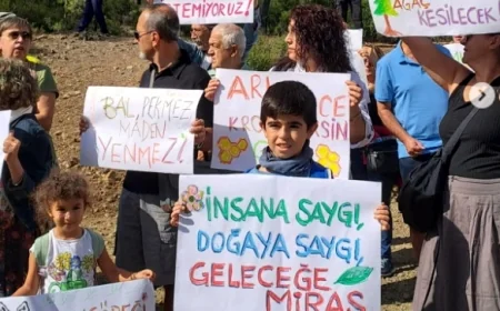 Halkın tepki gösterdiği Muğla'da maden sahası ihale edilecek