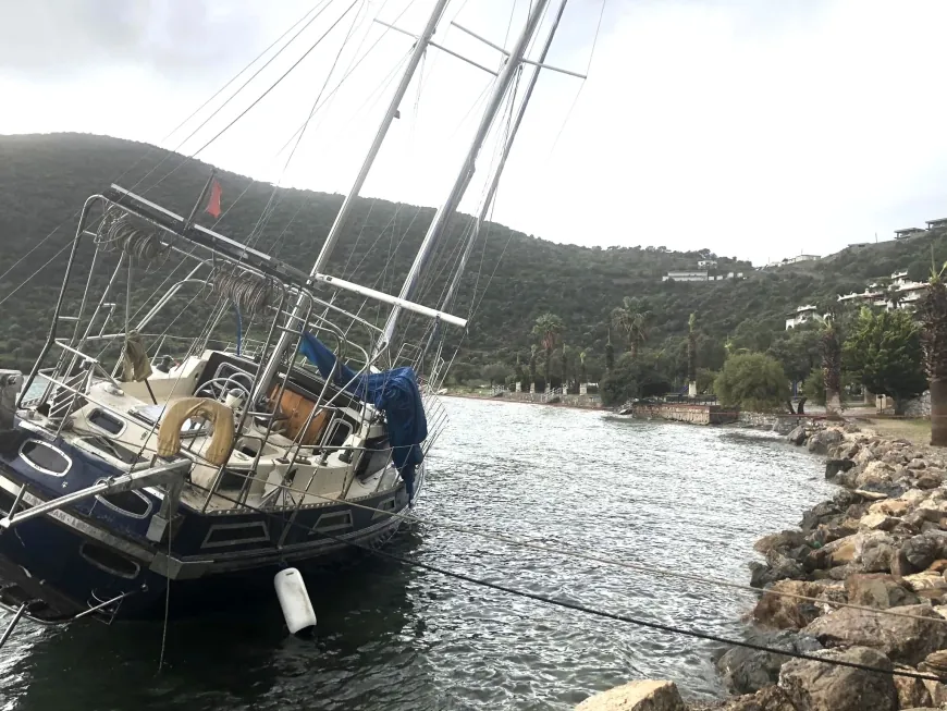 Bodrum’da fırtına yatları karaya savurdu ağaçları devirdi