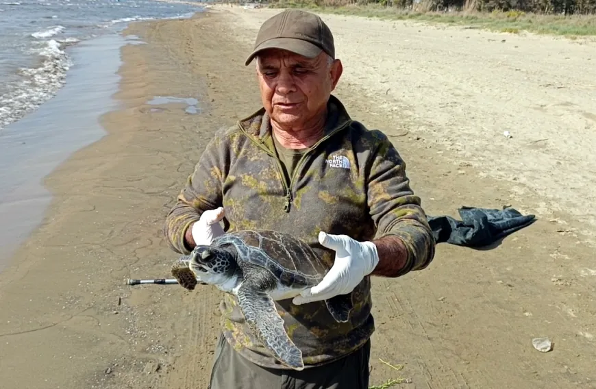 Balıkçı’nın dikkati ölmek üzere olan caretta carettayı kurtardı