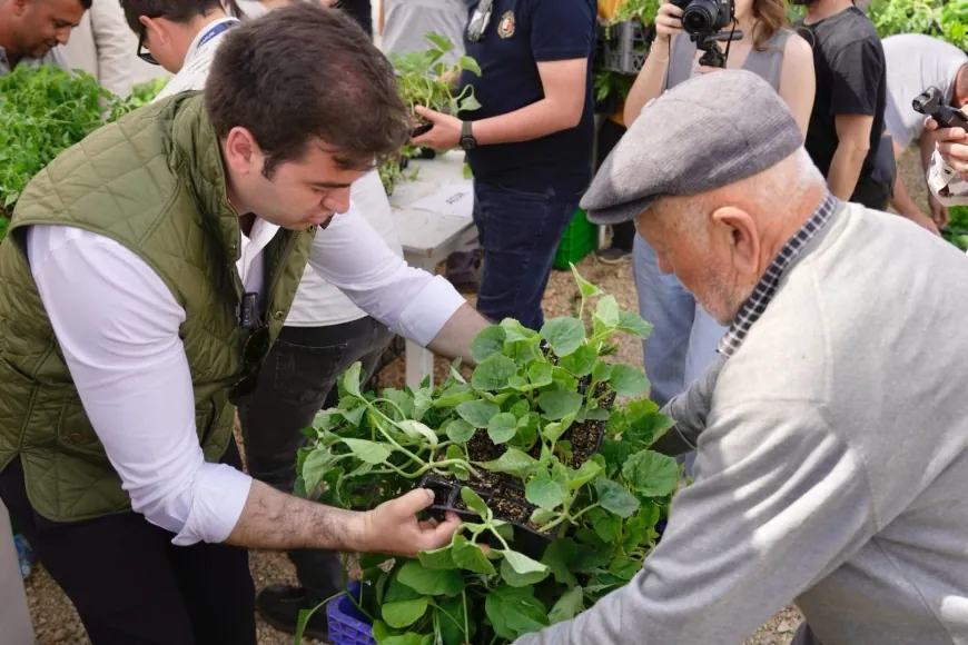 Bodrumlu üreticiye 250 bin ücretsiz fide dağıtıldı
