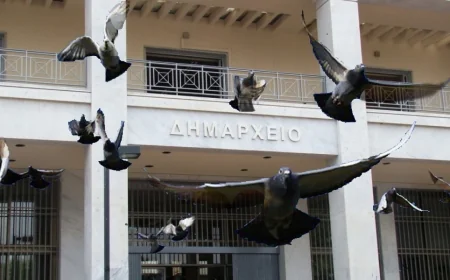 ALFRED HİTCHCOCK’UN KUŞLAR FİLMİ GERÇEK OLUYOR...  Belediye artan güvercin sayısını azaltmak için şehir içine yırtıcı kuşları salacak