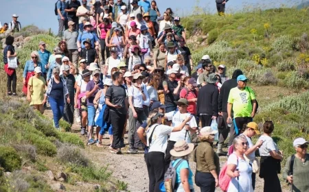 Bodrum'da antik kentte doğa ve tarih yürüyüşü