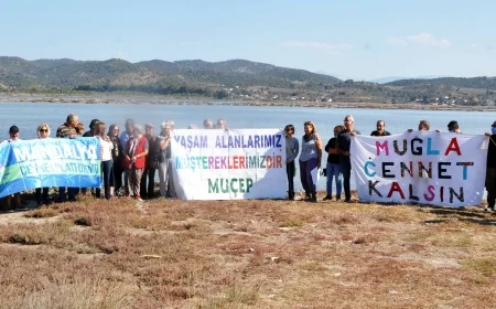 Tuzla Sulak Alanı  flamingo cennetinde Ağaoğlu ve Doğuş projelerine sert tepki,  perşembe günü eylem var