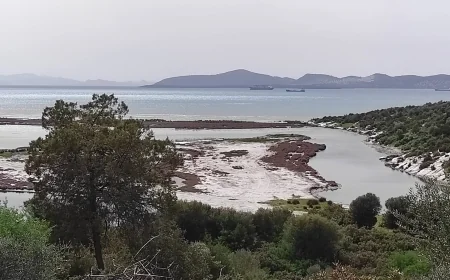 GÜLLÜK DELTASI VE SULAK ALANINDA YAPILMASI PLANLANAN MARİNA VE ÇEKEK YERİNE YARGIDAN FREN