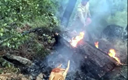 Bodrum’da orman yangını, düşen yıldırım ormanı yaktı