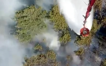 Marmaris’te orman yangını başladı