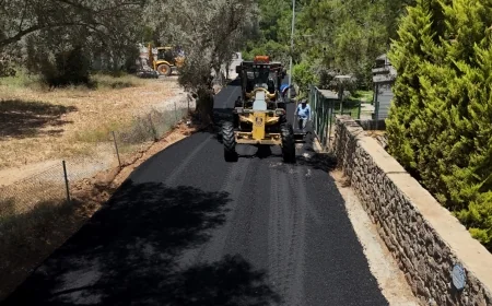 Belediyenin asfaltlama çalışmaları devam ediyor