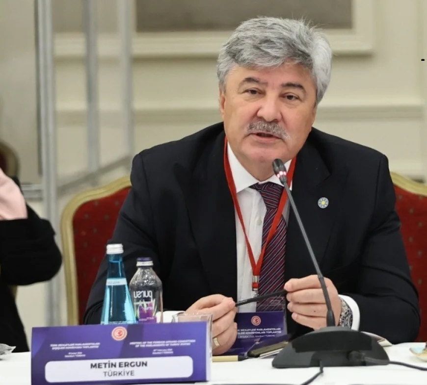 Zeytinlik ve Orman Arazileri Satışa Çıkarıldı, İYİ Partili Ergun Tepki Gösterdi
