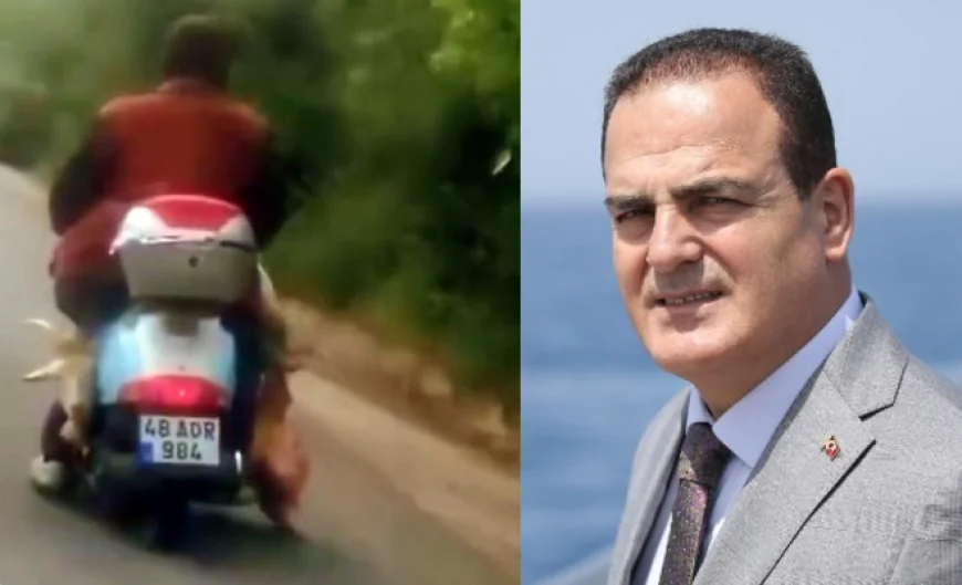 Vali Akbıyık vicdanları sızlatan görüntü diye paylaştı “Keçiyi motosikleti ile eziyet ederek götürdü”
