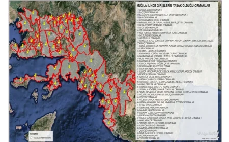 DİKKAT ORMANLARA GİRİŞLER YASAKLANDI. LİSTE AÇIKLANDI.