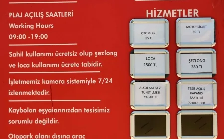 Bodrum'da ücretsiz girişli halk plajı, AMA PARALI, Bakanlığın ilginç uygulaması