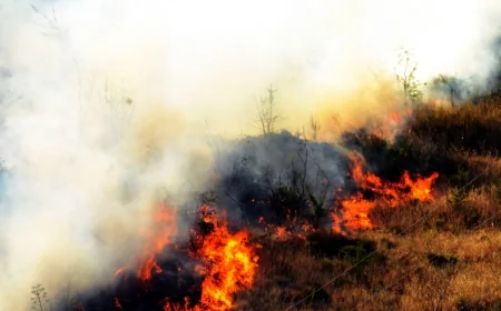 Bodrum’da makilik yangını evlere yaklaştı