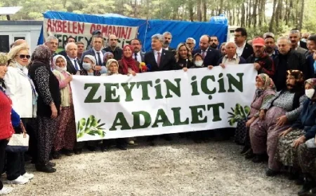 İkizköylüler TBMM’ye seslendi “Şirketlerin yanında değil köylünün yanında olun”