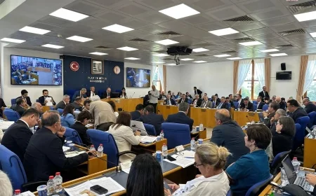 Son dakika... Tartışmalı 'zeytinlik' maddesi komisyonda kabul edildi