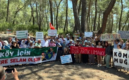 Yarın Akbelen’de “Zeytin yasasına tepki buluşması” var