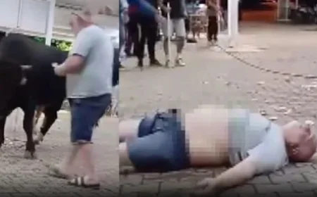 Boğaya para takmak istedi, hayatının hatasını yaptı