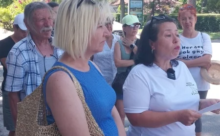 Muğla’da domuz sürek avı yapılmasına sert tepki  DOĞAYI KORUMAKLA YÜKÜMLÜ OLANLAR HAYVANLARI KATLEDİYOR