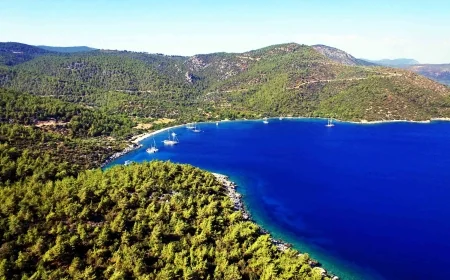 Ormanların deniz kısımları özel mülkiyete tahsis edilebilecek