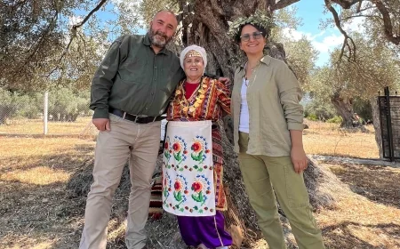 Prof. Aktürk: Türkiye Zeytinliklerini Kaybetme Riskiyle Karşı Karşıya 15 milyon zeytin ağacı tehlike altında