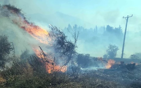 İslamhanelerinde yangın kabusu alevlerin evlerin içine kadar girdi