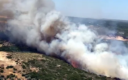 Didim’de makilik alandaki yangın ormana ve evlere doğru yöneldi