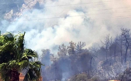 Ortakent'te dağ alev alev yandı Midtown AVM boşaltıldı