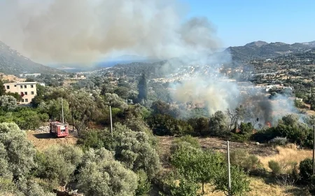 Yalıkavak yolunda yangın başladı
