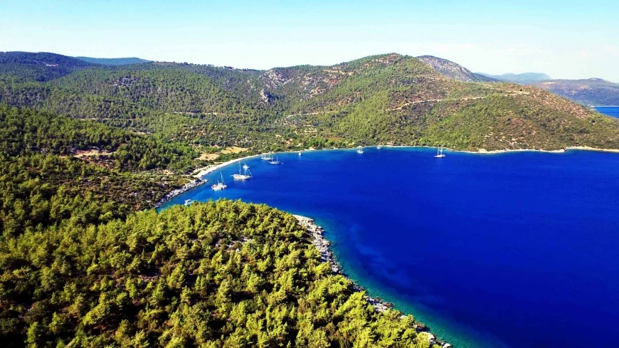 Ormanların deniz kısımları özel mülkiyete tahsis edilebilecek