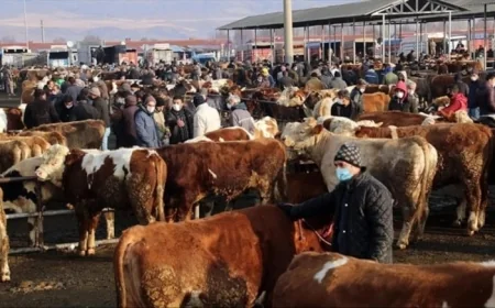 Bakanlıktan 81 ile ‘Acele’ kodlu yazı: Tüm hayvan pazarları kapatıldı