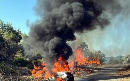 Yolda yanan araba ormanı kül etti