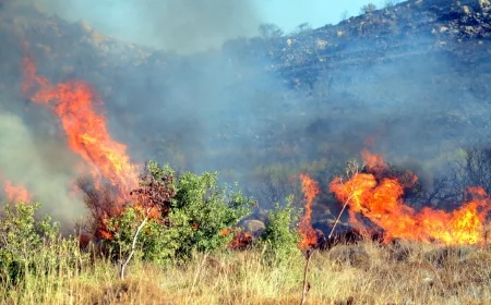 Ortakent'te makilik yangını başladı.