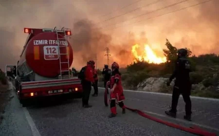 SON DAKİKA … YANGIN NEDENİYLE İZMİR – AYDIN OTOYOLU ULAŞIMA  KAPANDI.