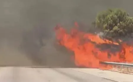 SON DAKİKA BODRUM İZMİR KARAYOLU YANGIN NEDENİYLE TRAFİĞE KAPANDI