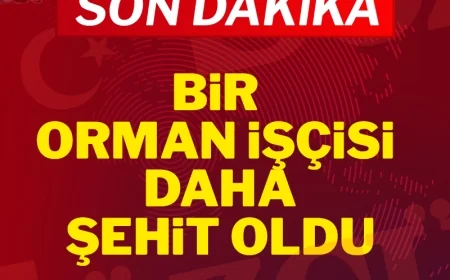 Ödemiş'ten acı haber: Yangında yaralanan bir orman işçisi daha şehit oldu