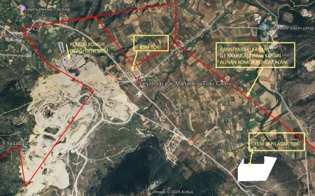 Muğlalılar zeytin ve maden yasa tasarısının peşini bırakmıyor