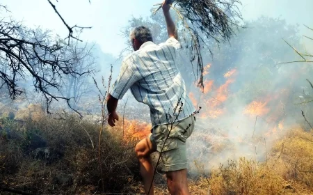 Milas- Meşelik'te orman yangını