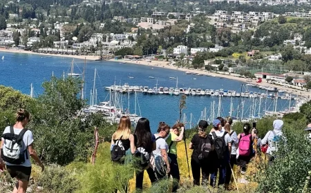 Muğla’nın 69 arazisi parsel parsel satılacak