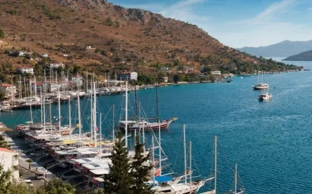 Muğla'nın en güzel koyunda marinaya tepki