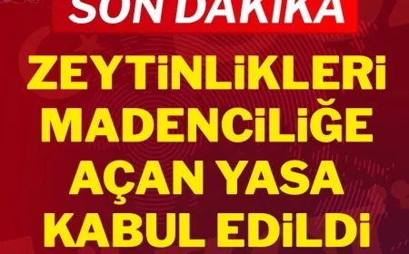 Son Dakika: Zeytinlikleri madenciliğe açan kanun kabul edildi