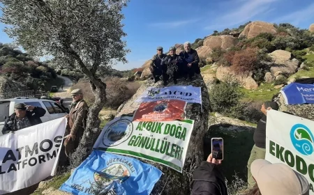 Aydın köylülerinin mera alanının maden ocağına kurban gitmesini Danıştay önledi.