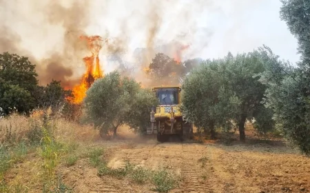 Muğla ve Aydın’da orman yangınları başladı