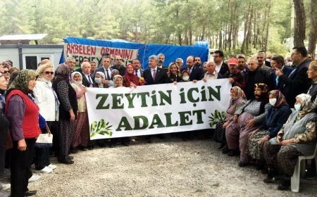 İkizköy Akbelen’de “Maden yasasını tanımıyoruz” eylemi yapılacak